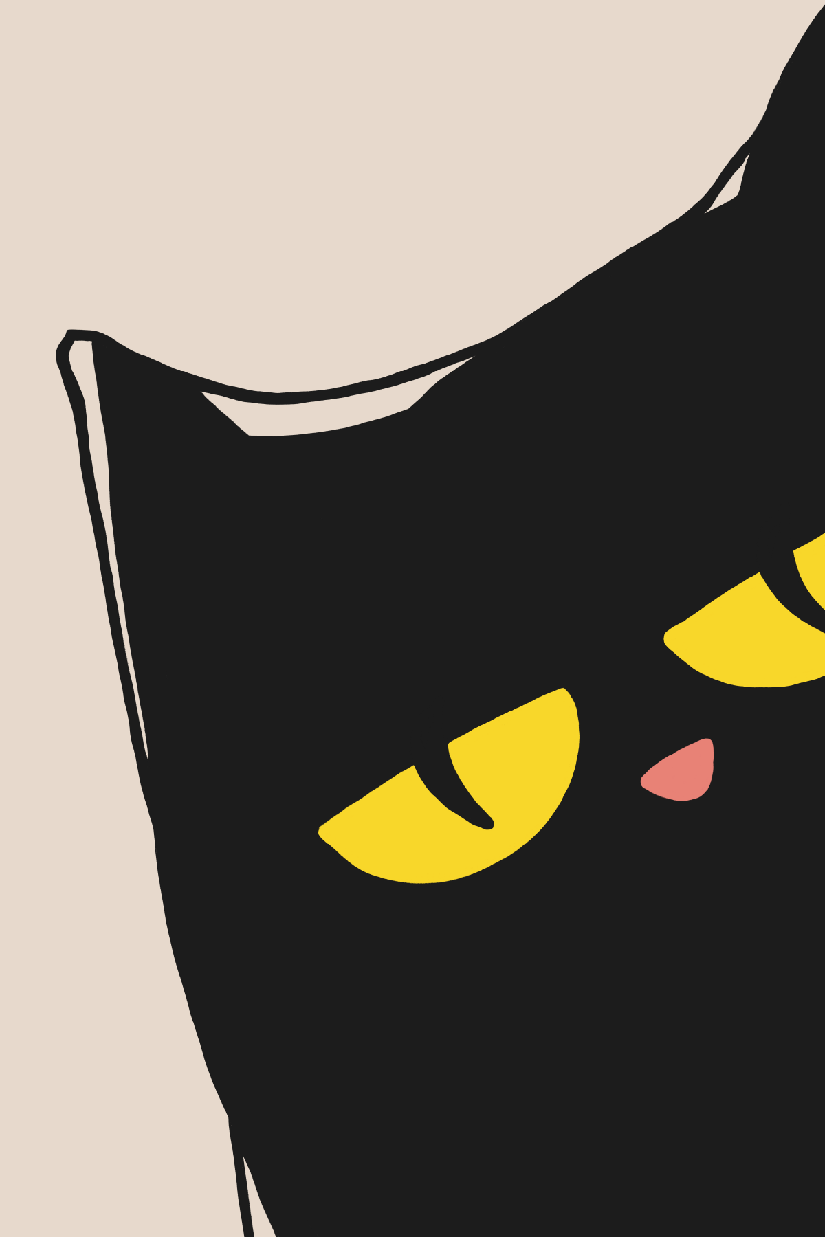 Autoportrait animalier — chat noir