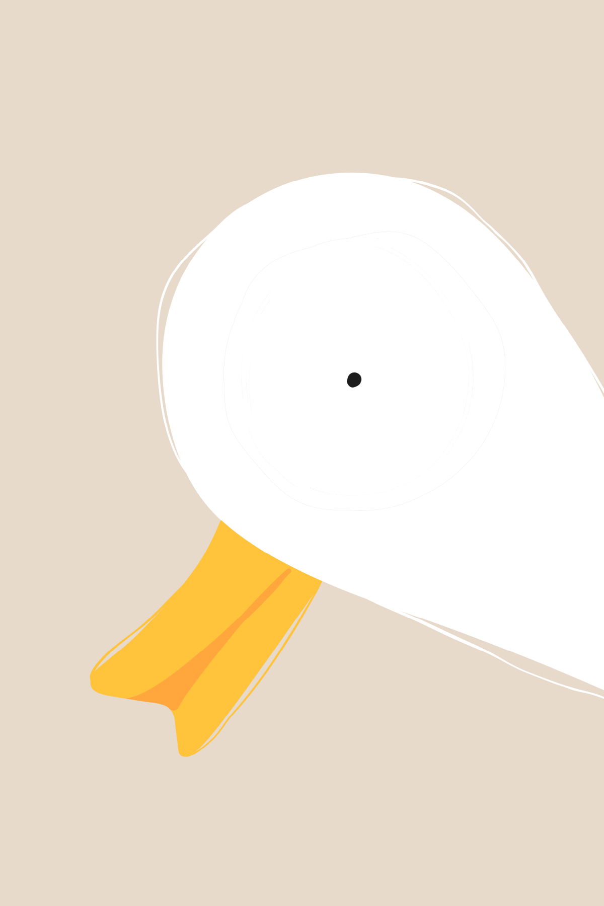 Autoportrait animalier — canard blanc