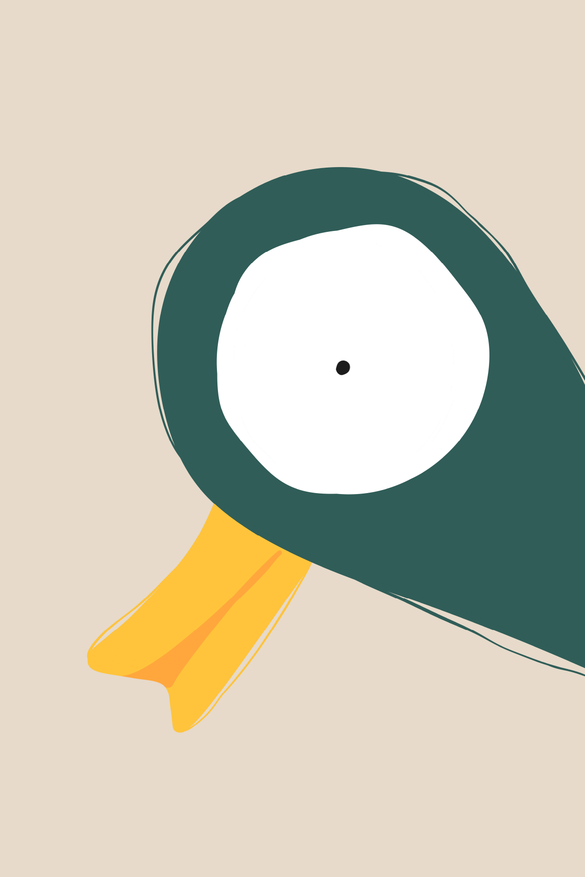 Autoportrait animalier — canard vert